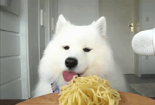  Moi je sais manger les spaghettis