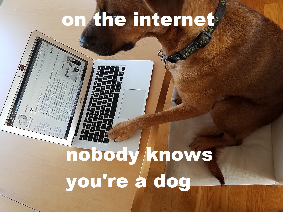 Sur Internet personne ne sait que vous êtes un chien