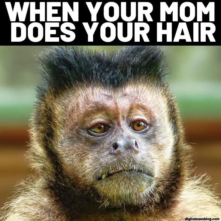 [LOUFOQUE] Quand ta mère te coupe les cheveux