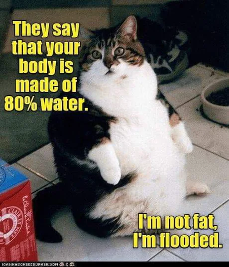 On dit que 80% de notre corps est fait d'eau Je ne suis pas gros, je suis innondé