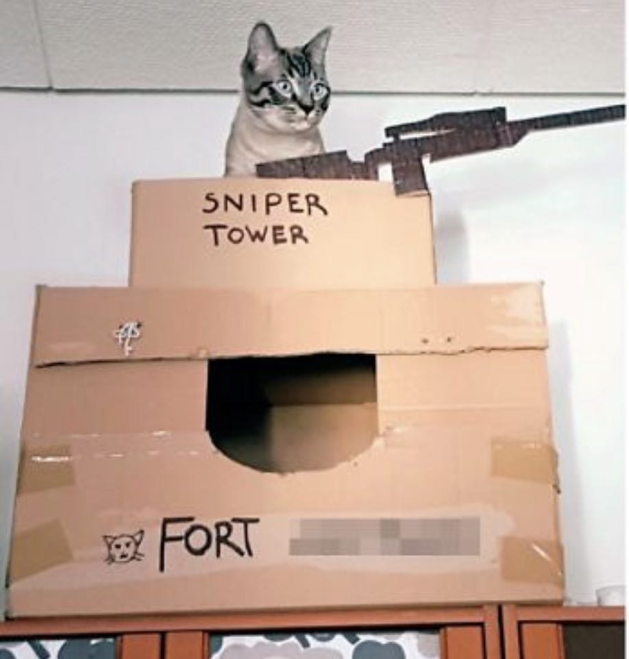  The Sniper Cat Tower